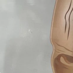 Sean Christie Harry Potter - Dobby 10